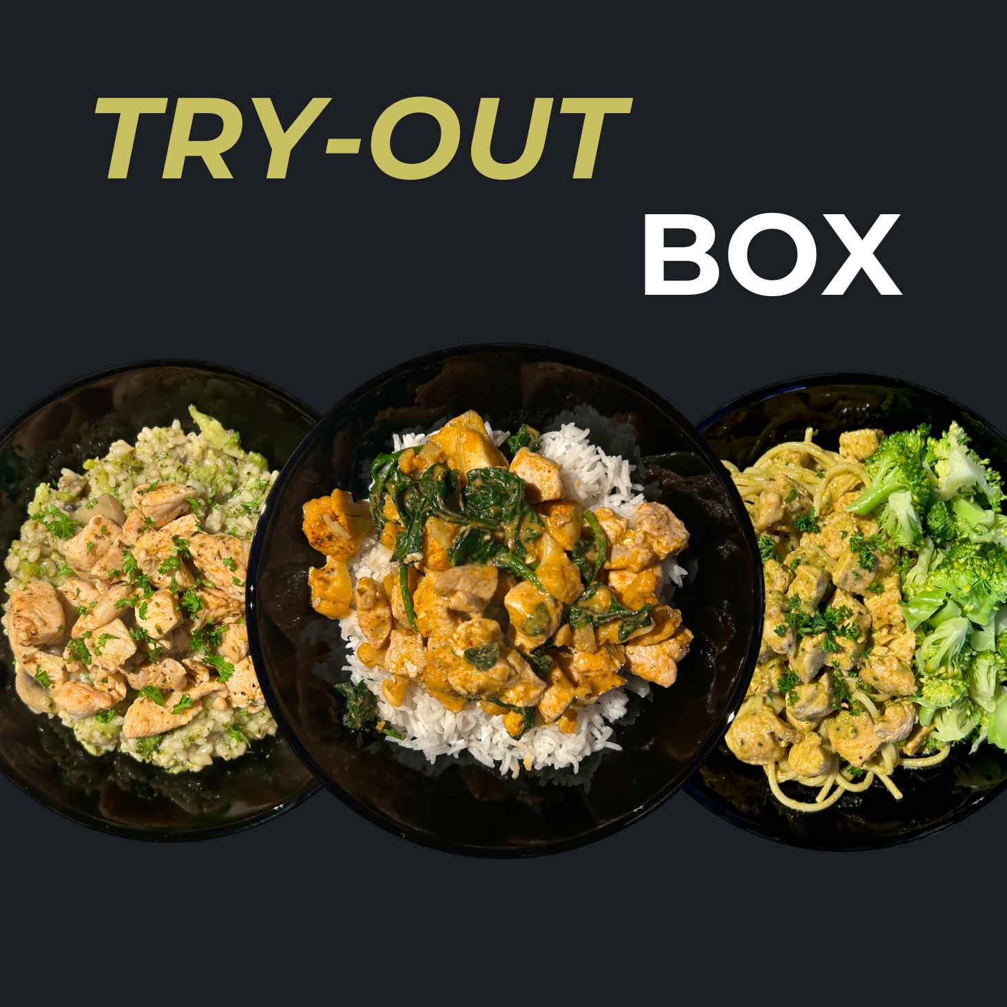 Try-Out Box - 4 Exclusieve Eiwitrijke Maaltijden naar Keuze